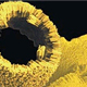 Nanotechnologie